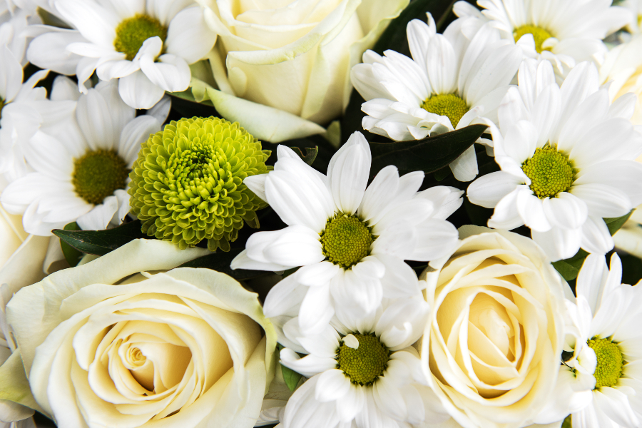 bouquet-of-white-flowers-2022-02-24-02-08-57-utc (1)